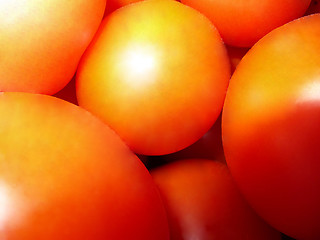 Image showing tomatoes