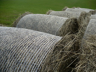 Image showing Bales of straw