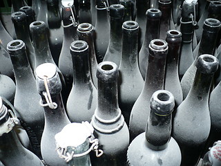 Image showing Wine bottles