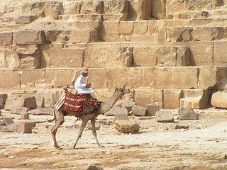 Image showing Pyramid - camel rider