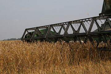 Image showing Harvesting