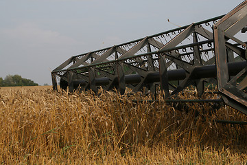Image showing Harvesting