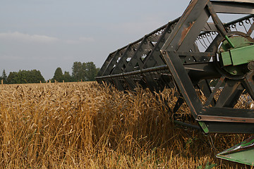 Image showing Harvesting