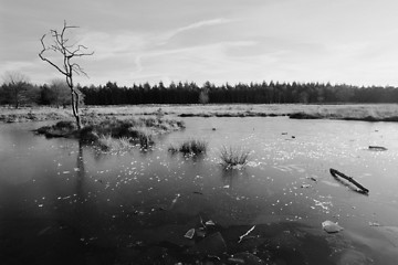 Image showing Winter Lake