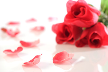 Image showing red roses