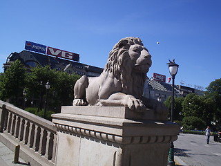 Image showing The Lion