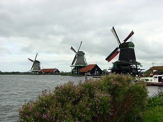 Image showing Dutch Windmills