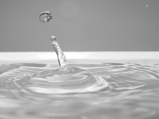 Image showing Drop of Water I