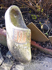 Image showing Old Clogs