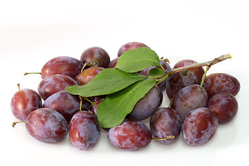 Image showing Fresh plums