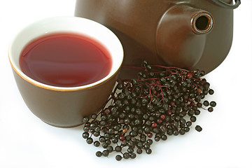 Image showing Tea elder