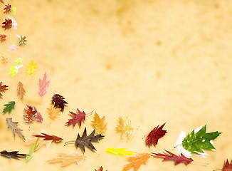 Image showing autumn leafs