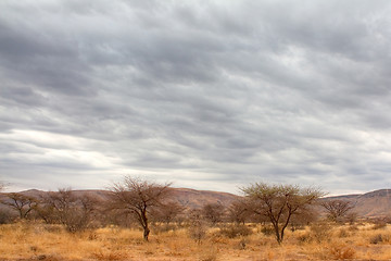 Image showing Landscape in Namibia