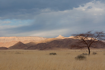 Image showing Landscape in Namibia