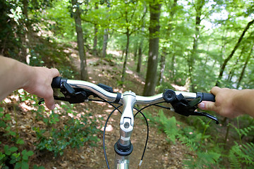 Image showing Mountain biking in the forest