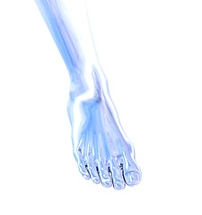 Image showing metal foot