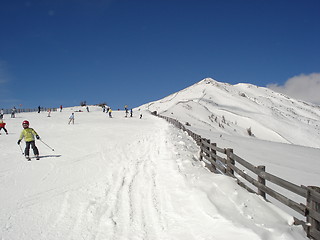 Image showing Alpine Skiing