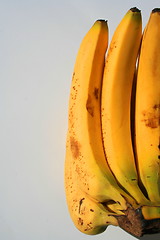 Image showing Bananas