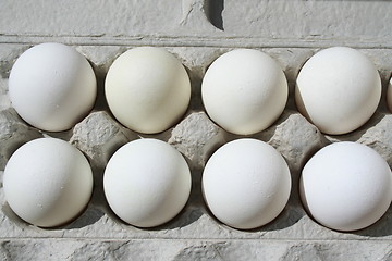 Image showing Chicken Eggs in a Carton