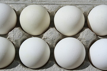 Image showing Chicken Eggs in a Carton