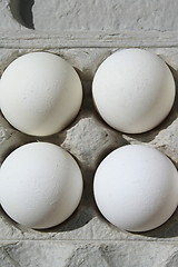 Image showing Chicken Eggs in a Carton