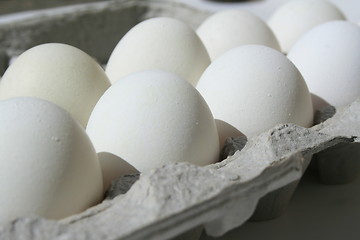 Image showing Chicken Eggs in a Carton