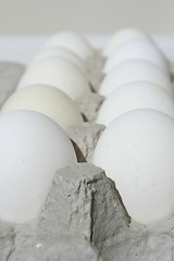 Image showing Chicken Eggs in a Carton