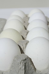 Image showing Chicken Eggs in a Carton