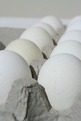 Image showing Chicken Eggs in a Carton