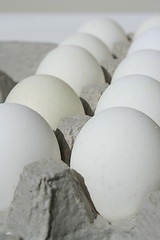 Image showing Chicken Eggs in a Carton