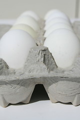 Image showing Chicken Eggs in a Carton