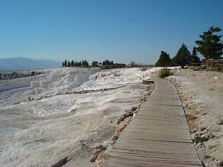 Image showing Salt fields
