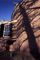 Image showing Tree Shadow