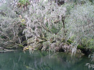 Image showing Marshes