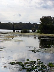 Image showing marshes