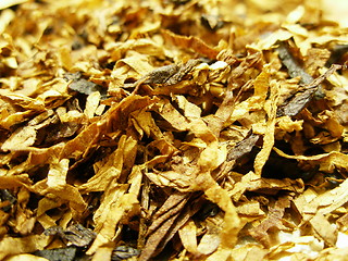 Image showing tobacco