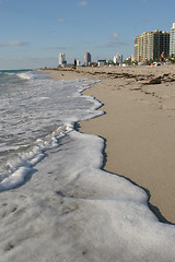 Image showing Miami - beach