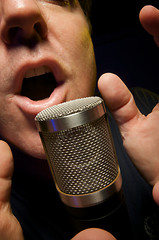 Image showing Vocalist & Microphone