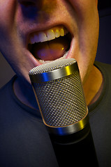 Image showing Vocalist & Microphone