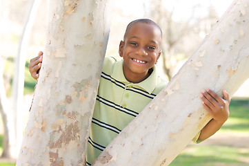 Image showing Young Boy