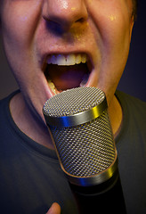 Image showing Vocalist & Microphone