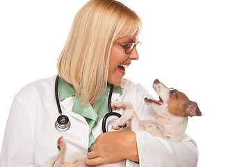 Image showing Attractive Female Doctor Veterinarian with Small Puppy