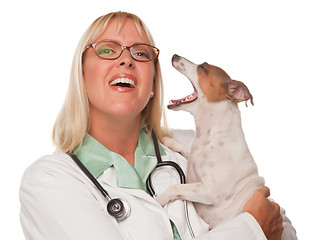 Image showing Attractive Female Doctor Veterinarian with Small Puppy