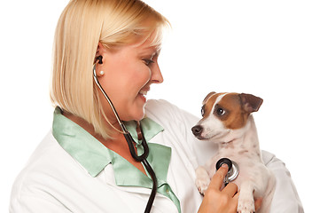 Image showing Attractive Female Doctor Veterinarian with Small Puppy