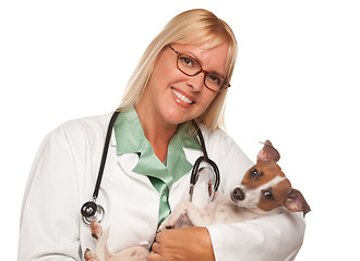 Image showing Attractive Female Doctor Veterinarian with Small Puppy