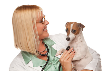 Image showing Attractive Female Doctor Veterinarian with Small Puppy