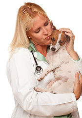 Image showing Attractive Female Doctor Veterinarian with Small Puppy