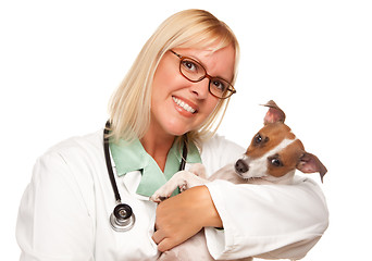 Image showing Attractive Female Doctor Veterinarian with Small Puppy