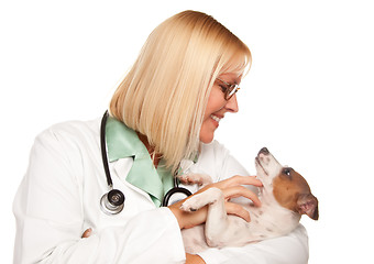 Image showing Attractive Female Doctor Veterinarian with Small Puppy