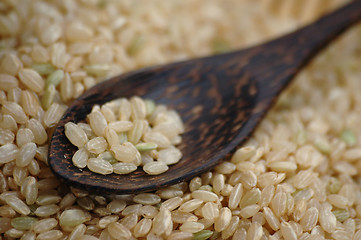 Image showing Brown Rice